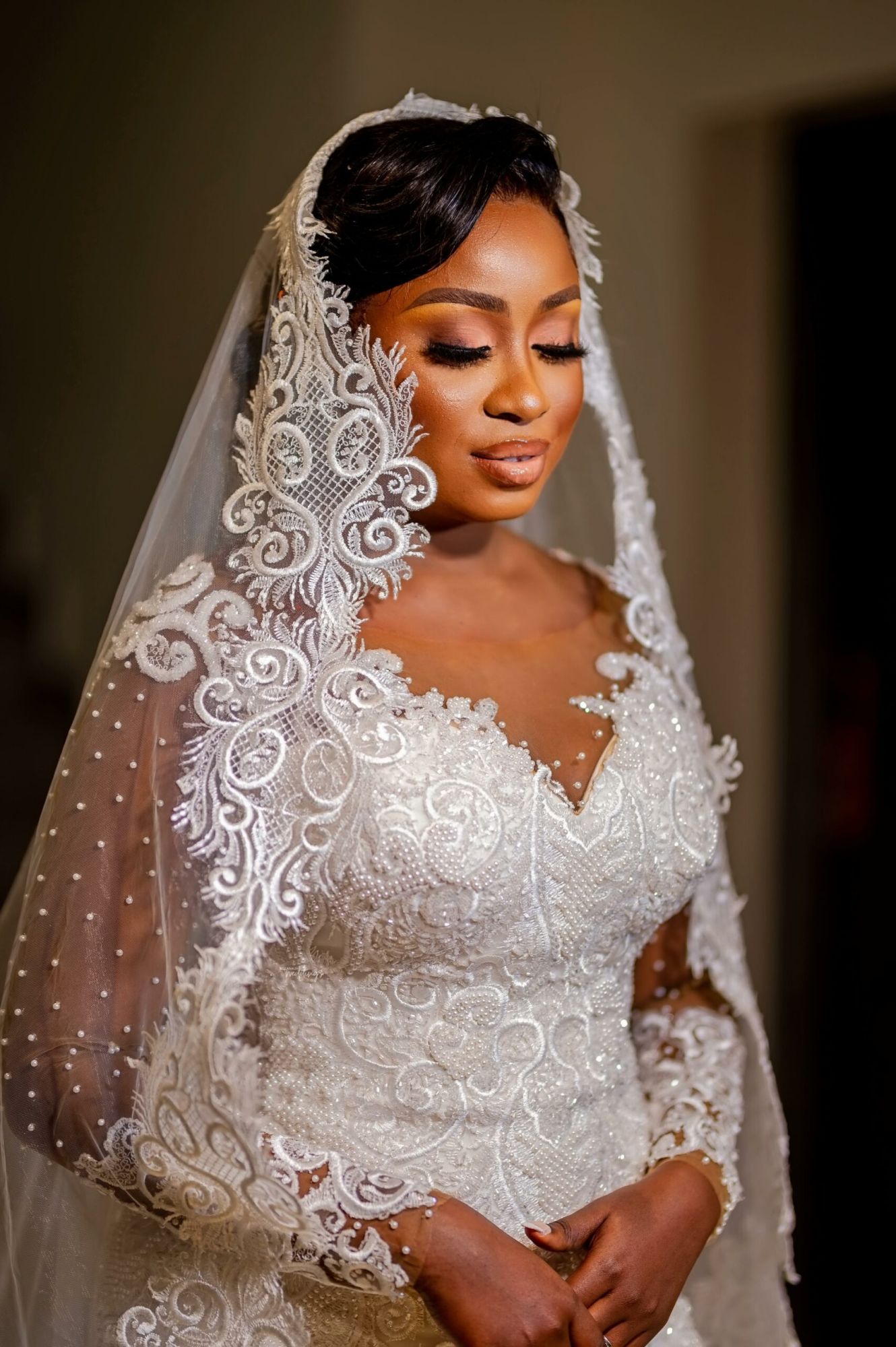 Gorgeous Mermaid Bridal Gown with Long Sleeves Pearls Lace Appliques Wedding Dress