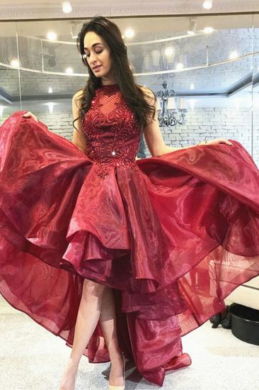 Burgundy Tulle lace hi-Lo Dancing Party Dress Homecoming Dress_2