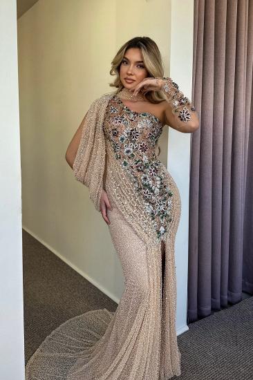 Elegant Evening Dresses Long Lace Prom Dresses Ball Gowns with Glitter_2