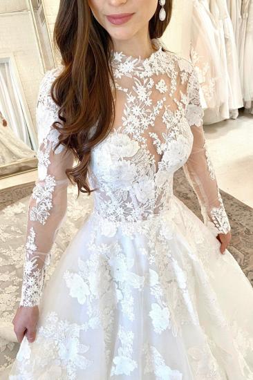 Floral Lace Aline Long Sleeves Floor-Length Wedding Dress_4