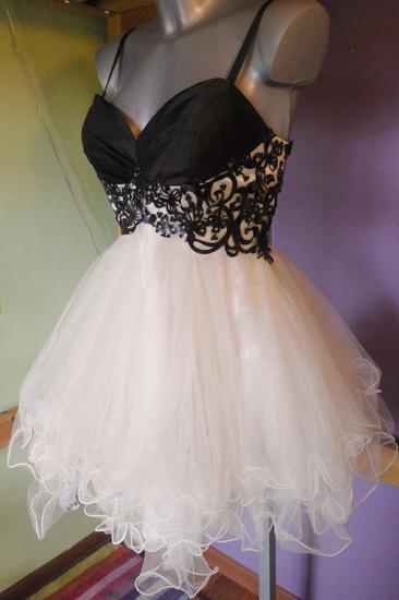 Mini Organza Black and White Homecoming Dress V-neck Sweet Multi-Layered Evening Dresses_2
