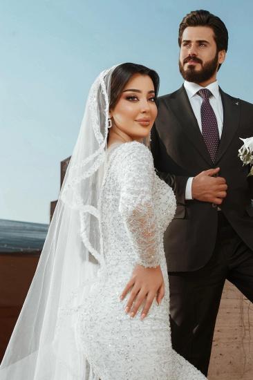 Modern Wedding Dresses Mermaid Style Glitter Wedding Dress with Sleeves_5