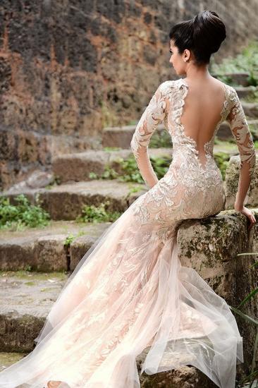 Mermaid Long Sleeve Ivory Lace Wedding Dresses | Sexy Sheer Tulle See Through Back Evening Dresses_3