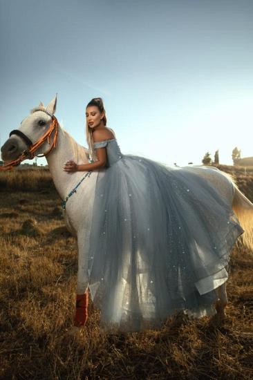Silver Ball Gowns Long Glitter Evening Dresses Prom Dresses Online_2