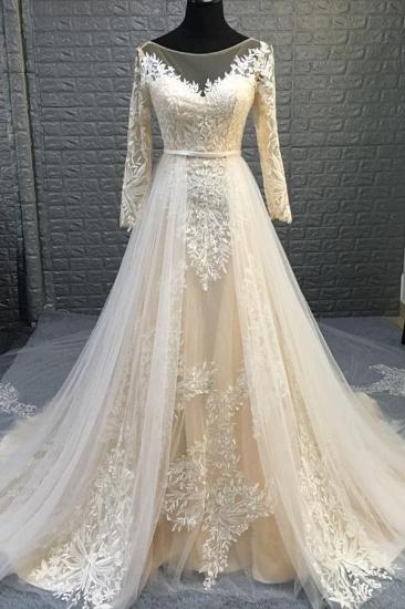 Elegant Long Sleeve Lace Appliques Tulle Wedding Dress Bridal Gowns Detachable Train_2