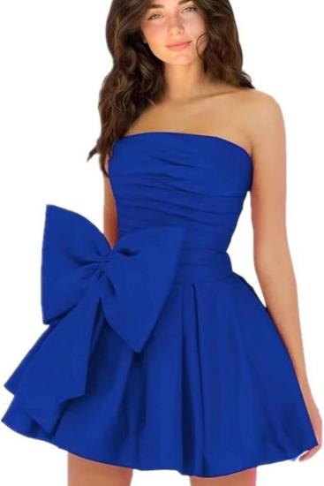 Royal Blue Cocktail Dresses Short | Simple Prom Dresses Cheap_34