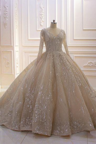 Sparkle Lace Long sleeves Champange Luxury corset Wedding Dress_6