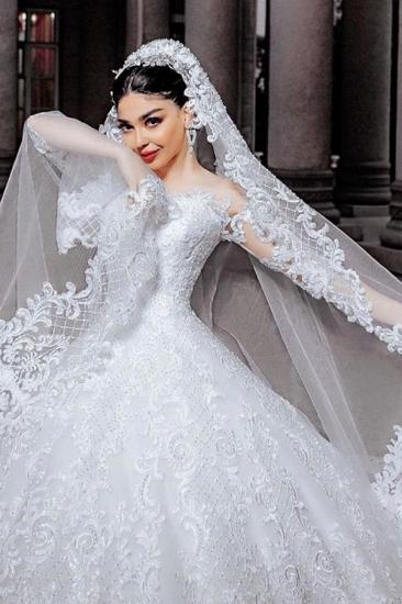 Sheer Tulle Long Sleeve Ball Gown Wedding Dresses | Beads Appliques Bridal Gowns With Court Train_3