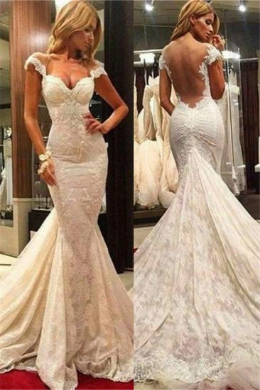 Fit and Flare Lace Wedding Dresses | Sheer Tulle Back Bridal Gowns with Chapel Train_1